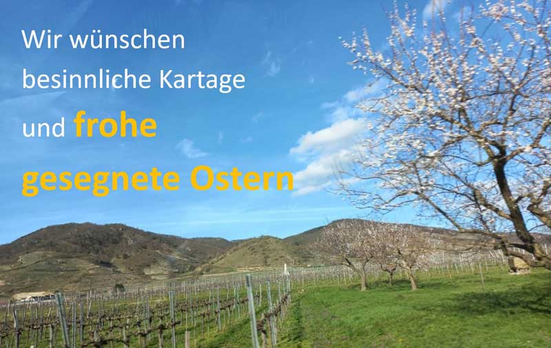 Wir wünschen besinnliche Kartage und frohe gesegnete Ostern. Bild von blühendem Obstbäumen in Weingarten