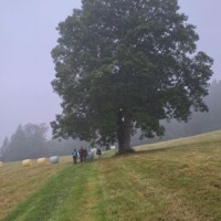 Landschaftsfoto von der Wallfahrt nach Mariazell Landschaftsfoto von der Wallfahrt nach Mariazell