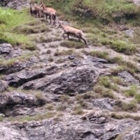 Landschaftsfoto von der Wallfahrt nach Mariazell Landschaftsfoto von der Wallfahrt nach Mariazell