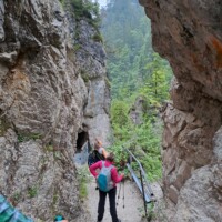 PIlger bei der Fußwallfahrt nach Mariazell PIlger bei der Fußwallfahrt nach Mariazell