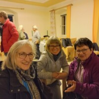 Zuhörer Vortrag Prof. Wallner