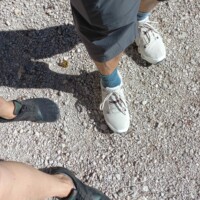 Füße mit Wanderschuhen