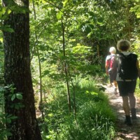 Pilger auf der Wallfahrt