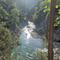 See im Wald am Pilgerweg nach Mariazell