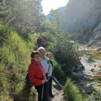 Pilgergruppe der Mariazell-Wallfahrt im Wald