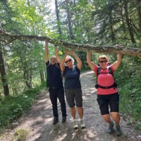 Pilger stemmen umgekippten Baumstamm