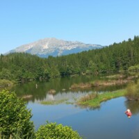 Wald mit See entlag der Mariazell-Wallfahrt