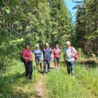 Pilgergruppe der Mariazell-Wallfahrt im Wald